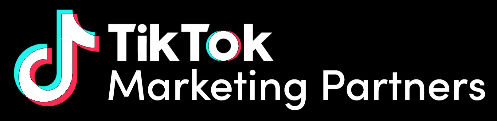 TikTok Marketing Partner